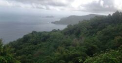 233 Acres – Speyside, Tobago