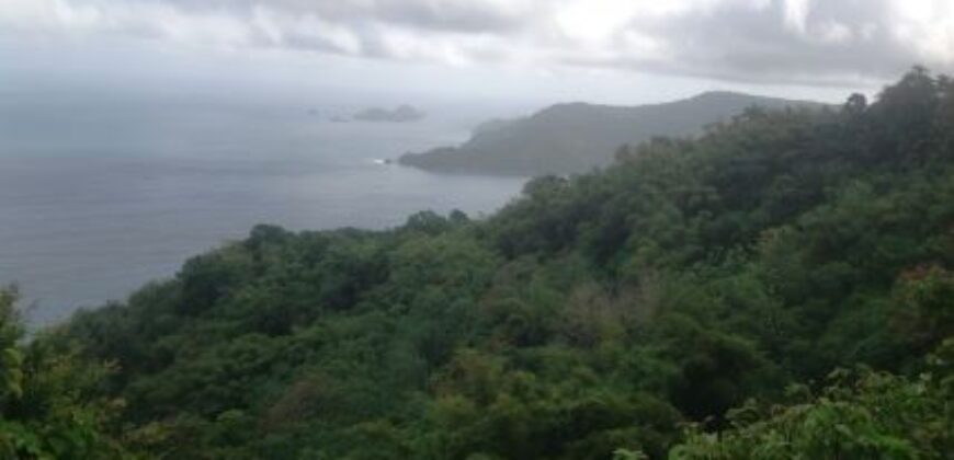 233 Acres – Speyside, Tobago