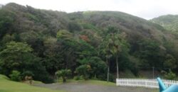 233 Acres – Speyside, Tobago