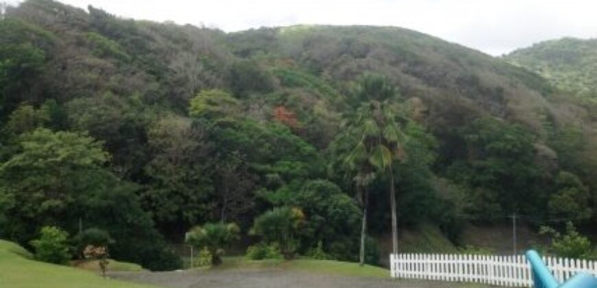 233 Acres – Speyside, Tobago