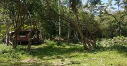 233 Acres – Speyside, Tobago