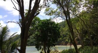 233 Acres – Speyside, Tobago