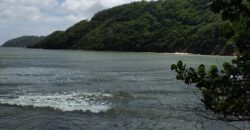 233 Acres – Speyside, Tobago