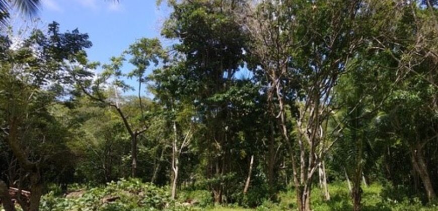 233 Acres – Speyside, Tobago