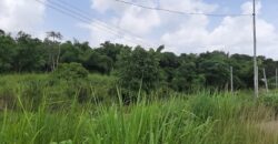 1½ Acres Claxton Bay – Highway Frontage  $2,500,000