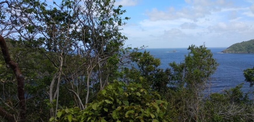 233 Acres – Speyside, Tobago