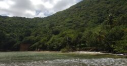 233 Acres – Speyside, Tobago