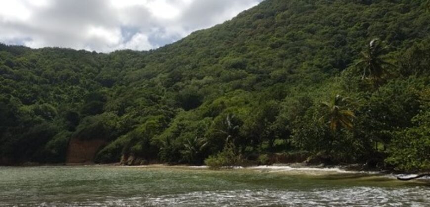 233 Acres – Speyside, Tobago