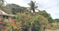 Rampanalgas, Toco – 23 Acres Ocean Front