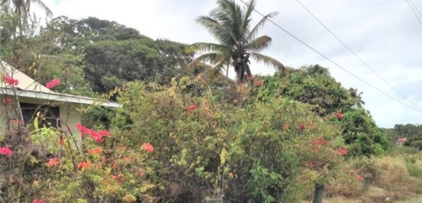 Rampanalgas, Toco – 23 Acres Ocean Front