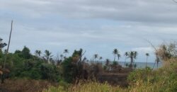 Rampanalgas, Toco – 23 Acres Ocean Front