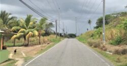 Rampanalgas, Toco – 23 Acres Ocean Front