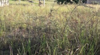 Land for Sale in Freeport