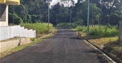 Beautiful Land for Sale in Tamarind Park Tobago