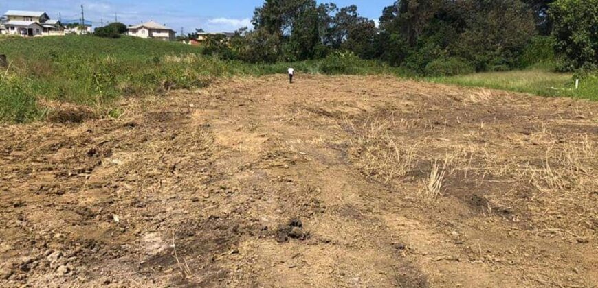 Land for sale in Aripero $1.7m negotiable