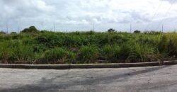 LAND FOR SALE IN CHAGUANAS $500,000