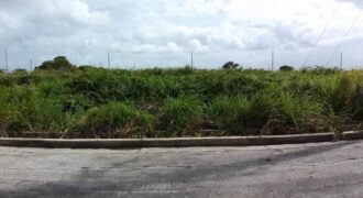 LAND FOR SALE IN CHAGUANAS $500,000