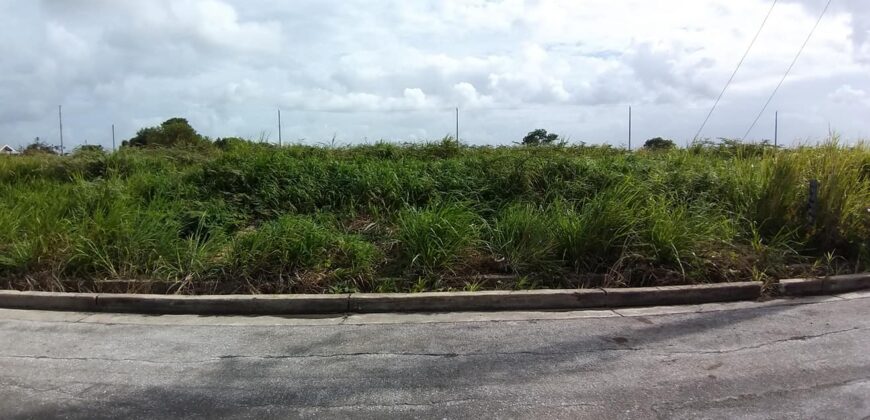 LAND FOR SALE IN CHAGUANAS $500,000