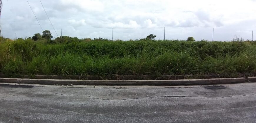 LAND FOR SALE IN CHAGUANAS $500,000