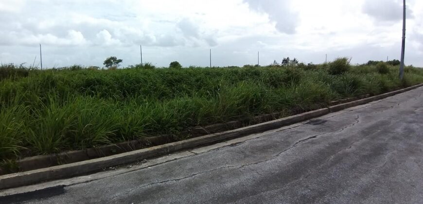 LAND FOR SALE IN CHAGUANAS $500,000