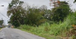 LAND FOR SALE – SANGRE GRANDE TOCO MAIN ROAD $3.7 Mil