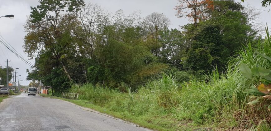 LAND FOR SALE – SANGRE GRANDE TOCO MAIN ROAD $3.7 Mil