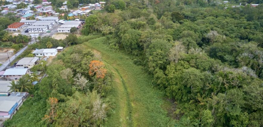 LAND FOR SALE – SANGRE GRANDE TOCO MAIN ROAD $3.7 Mil