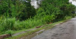 LAND FOR SALE – SANGRE GRANDE TOCO MAIN ROAD $3.7 Mil