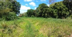 LAND FOR SALE – SANGRE GRANDE TOCO MAIN ROAD $3.7 Mil