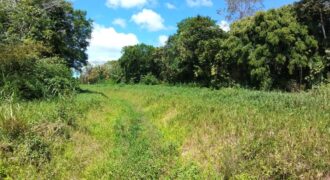 LAND FOR SALE – SANGRE GRANDE TOCO MAIN ROAD $3.7 Mil