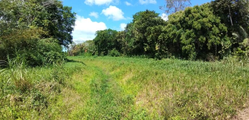 LAND FOR SALE – SANGRE GRANDE TOCO MAIN ROAD $3.7 Mil