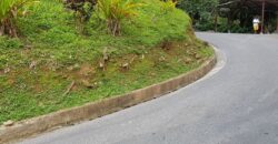 ARIAPITA ROAD, ST. ANN’S LAND – $2M  GOOD FOR THE DEVELOPEMENT OF TOWNHOUSES