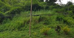 ARIAPITA ROAD, ST. ANN’S LAND – $2M  GOOD FOR THE DEVELOPEMENT OF TOWNHOUSES