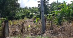 LA FILETTE LAND – $1.1M