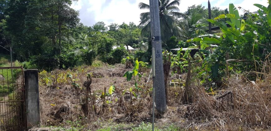 LA FILETTE LAND – $1.1M