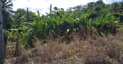 LA FILETTE LAND – $1.1M