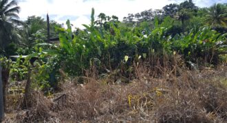 LA FILETTE LAND – $1.1M