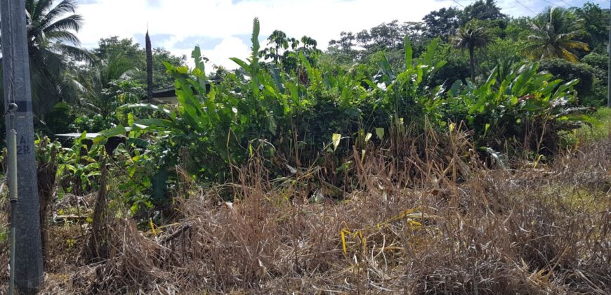 LA FILETTE LAND – $1.1M