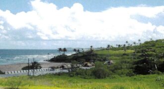 5 1/2 MM MAYARO GUAYAGUAYARE ROAD, STONEBRIGHT, MAYARO – $8 MILLION  INVESTOR OPPORTUNITY