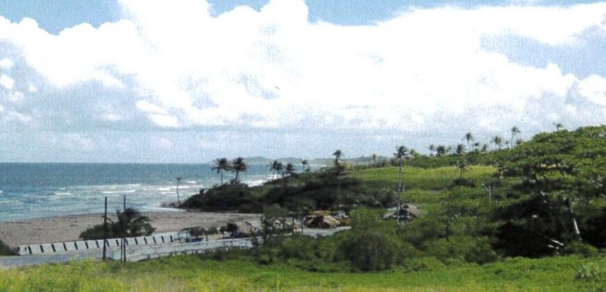 5 1/2 MM MAYARO GUAYAGUAYARE ROAD, STONEBRIGHT, MAYARO – $8 MILLION  INVESTOR OPPORTUNITY