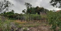 1 Lot of land for Sale Welcome Road, South $450,000