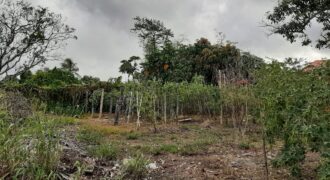 1 Lot of land for Sale Welcome Road, South $450,000