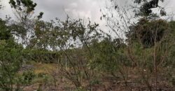 1 Lot of land for Sale Welcome Road, South $450,000