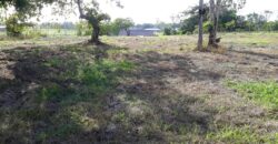 3 Fully Approved Plots For sale, Mt Moriah, off Welcome Road Cunupia $575,000 EACH