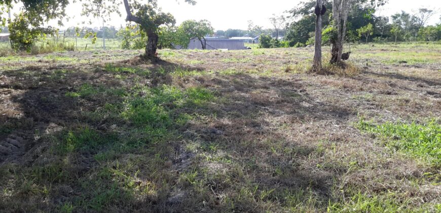 3 Fully Approved Plots For sale, Mt Moriah, off Welcome Road Cunupia $575,000 EACH