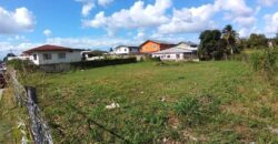 Land for Sale Waterloo Main Road, Freeport $1,820,000