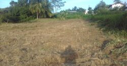 Indian Trail 2 Lots Land for Sale $700,000