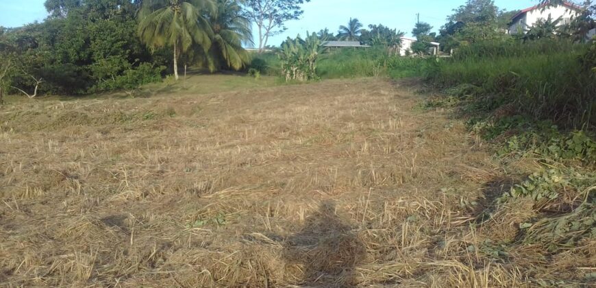 Indian Trail 2 Lots Land for Sale $700,000