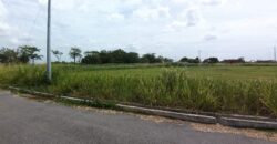 The Glades IV, 1 Acre Residential Development for Sale $3.5mil