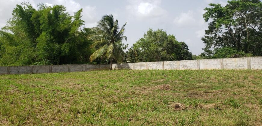 LAND FOR SALE: $775K to $1.1M  Devina Gardens